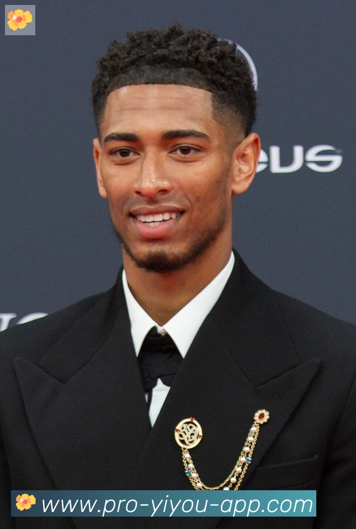 维尼修斯